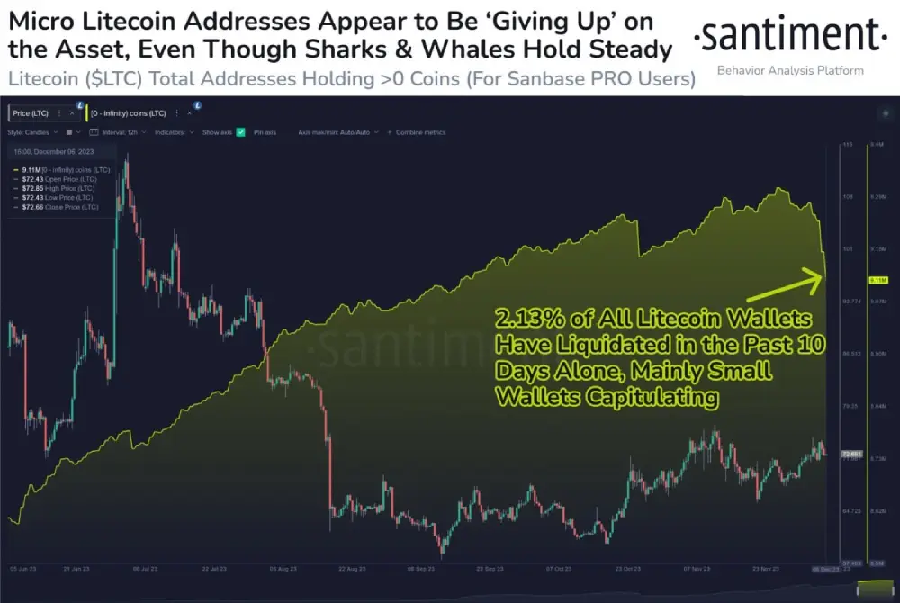 sentiment: About 199 thousand wallets