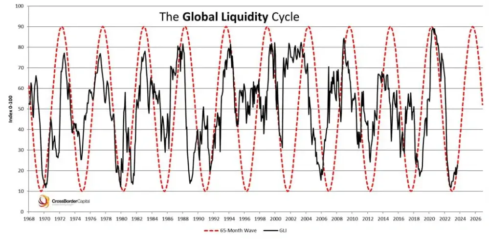 The World Liquidity Index