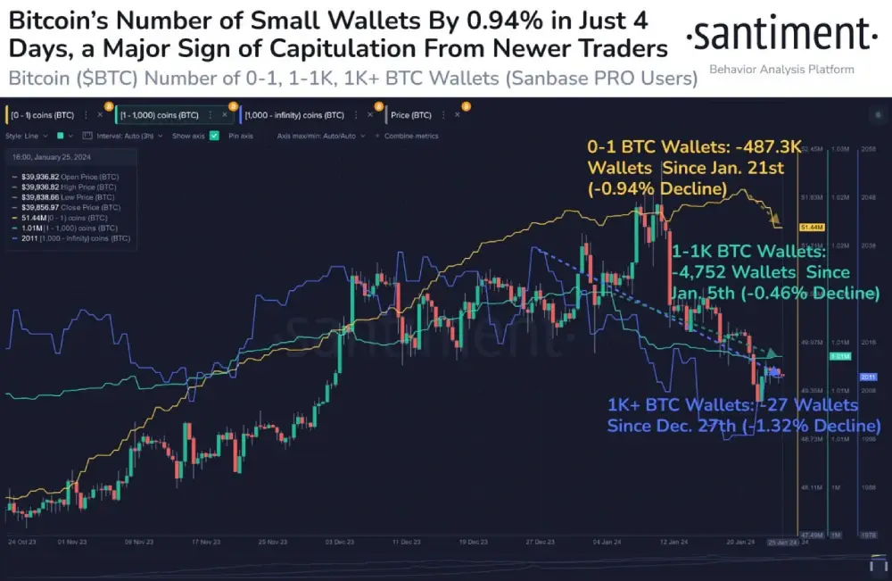 The number of all #Bitcoin wallets is declining at the fastest rate