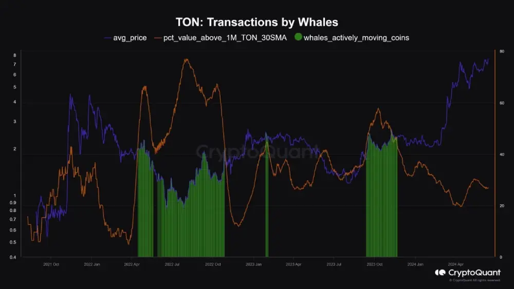 Analyst: Whales are actively transferring TONs ahead of a significant price jump