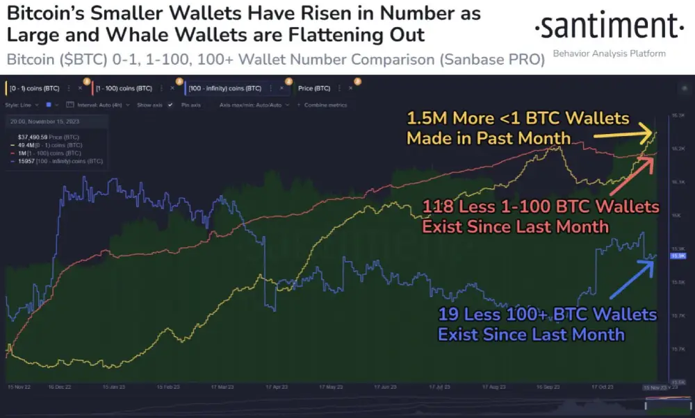 sentiment #Bitcoin wallets fluctuated