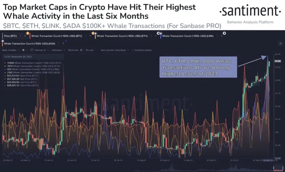 sentiment Whales are extremely active