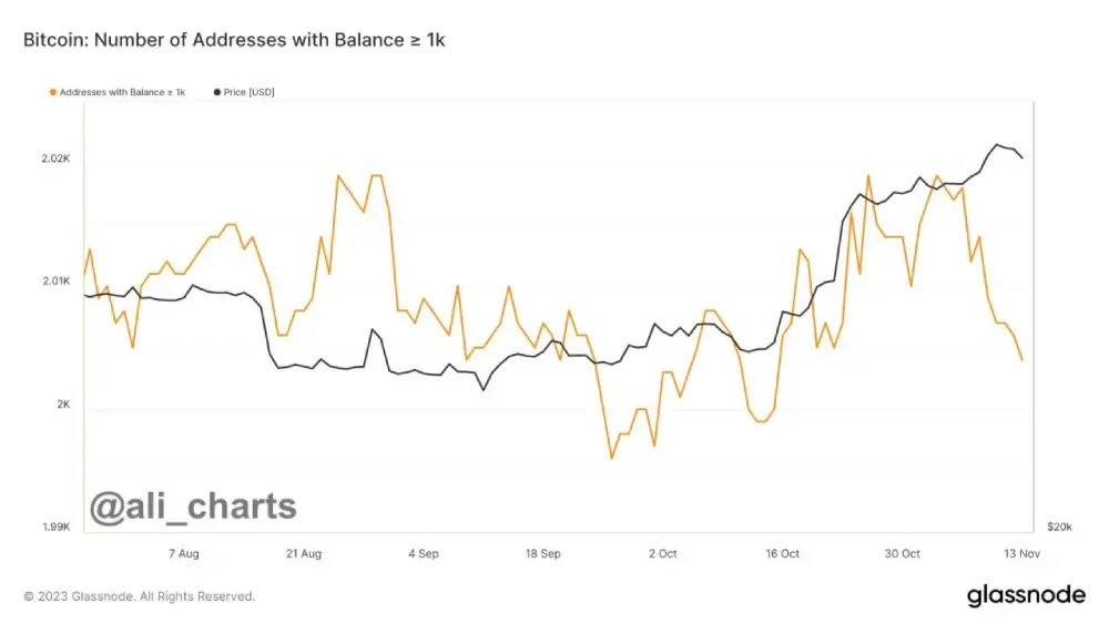 On November 3, #Bitcoin whales began taking profits