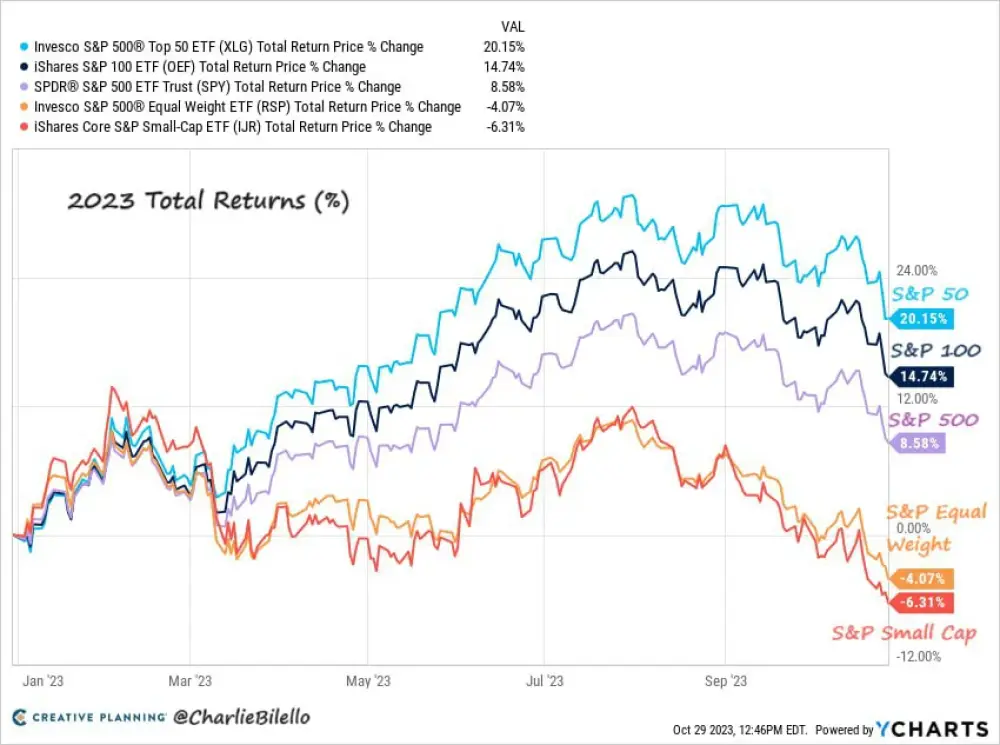 It's been a strong year for the 50 largest stocks in the S&P 500